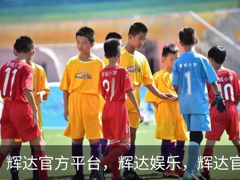 辉达官方平台，辉达娱乐，辉达官网，HuiDa，辉达游戏简介